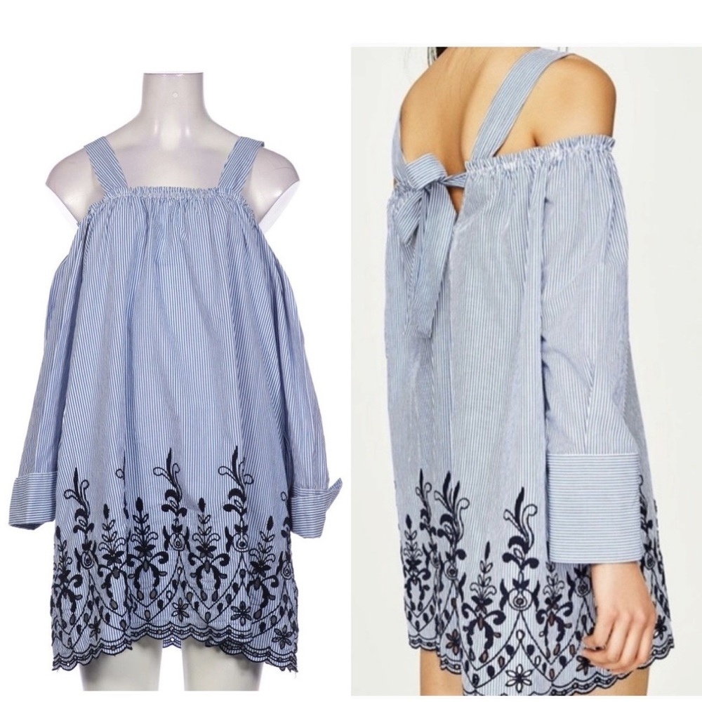 Zara Striped Floral Embroidered Shirt Mini Dress Long Sleeve Eyelets Victorian